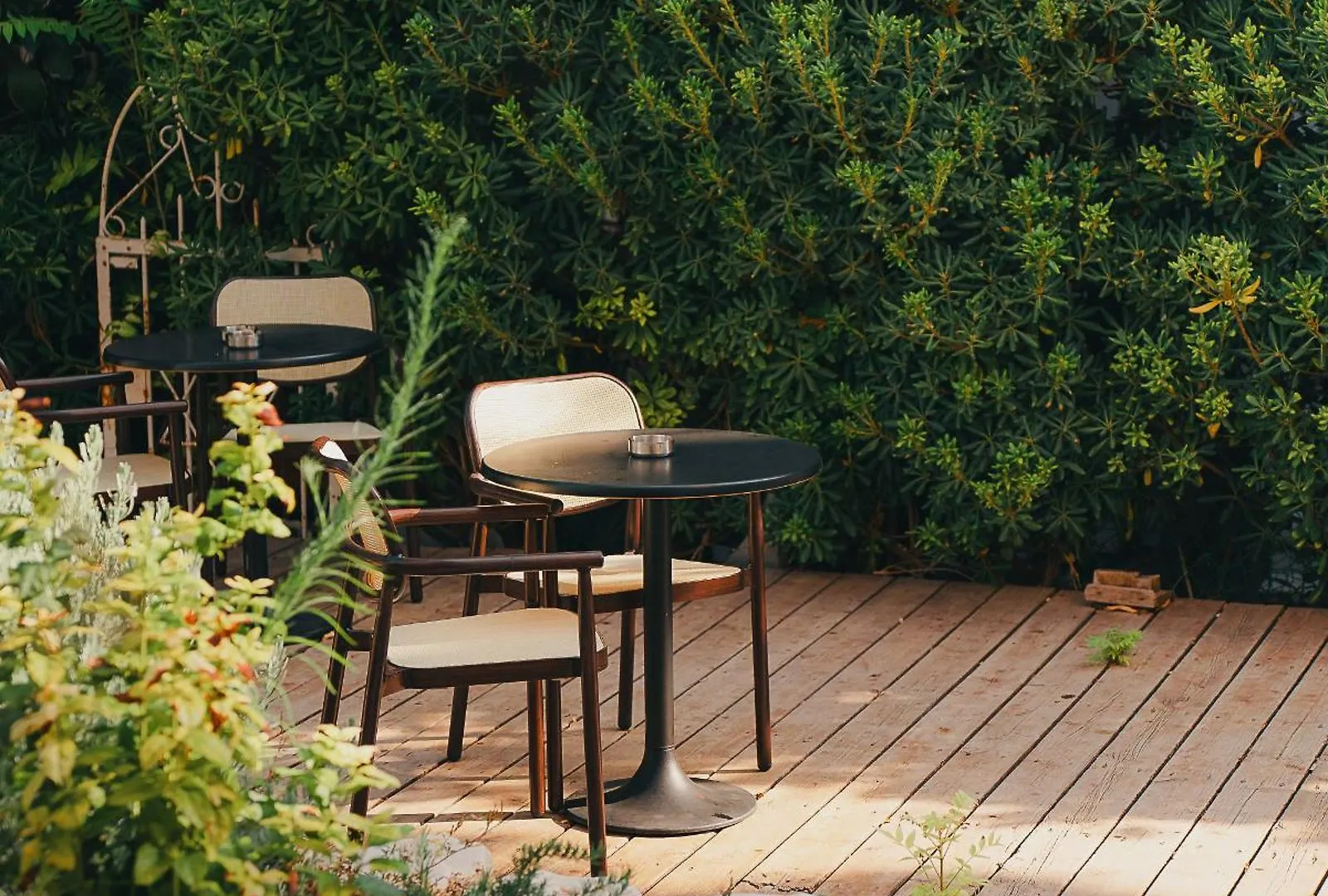 חיפה Mila - Boutique Hotel